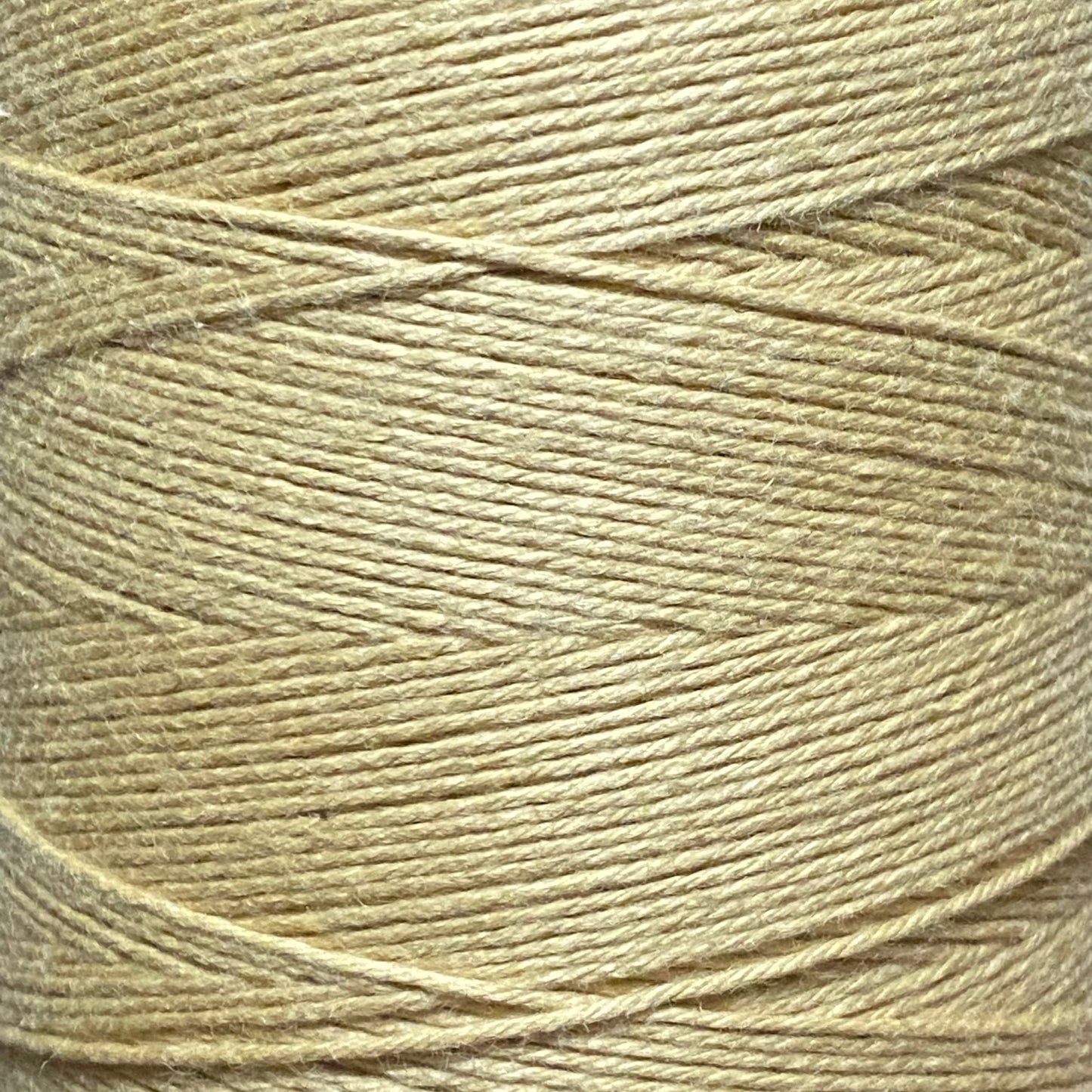 Maysville Warp Yarn