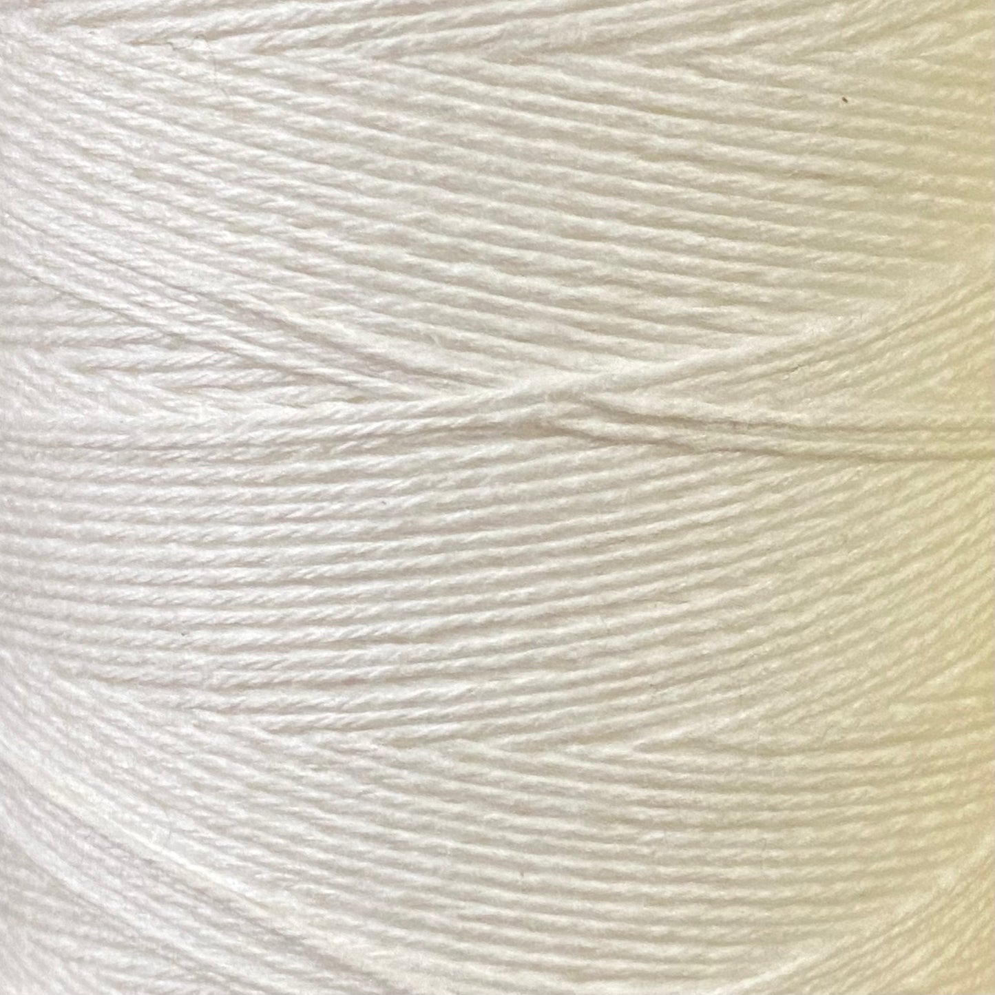 Maysville Warp Yarn